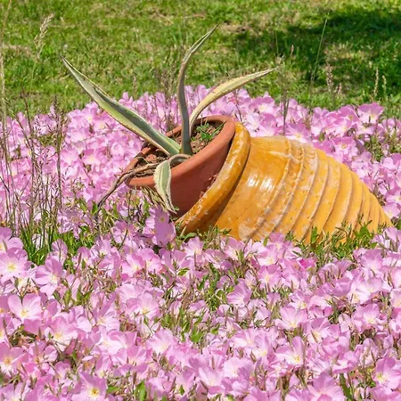 Country Style Christina * Pouláta