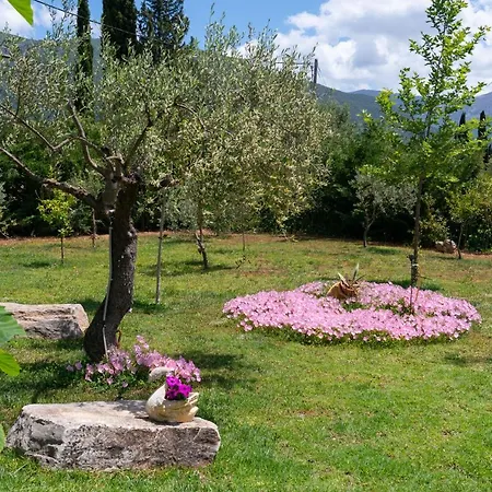 Country Style Christina