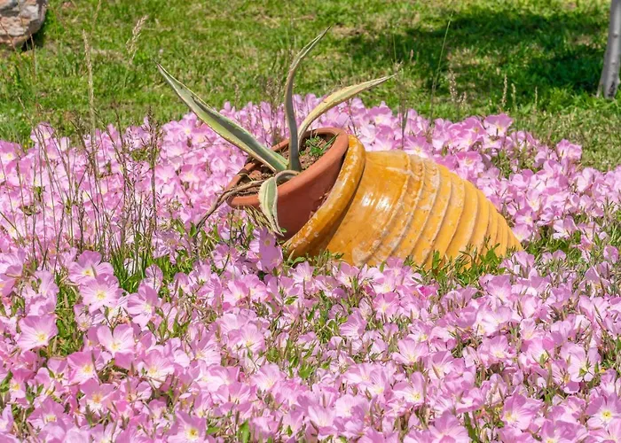 Country Style Christina * Poulata